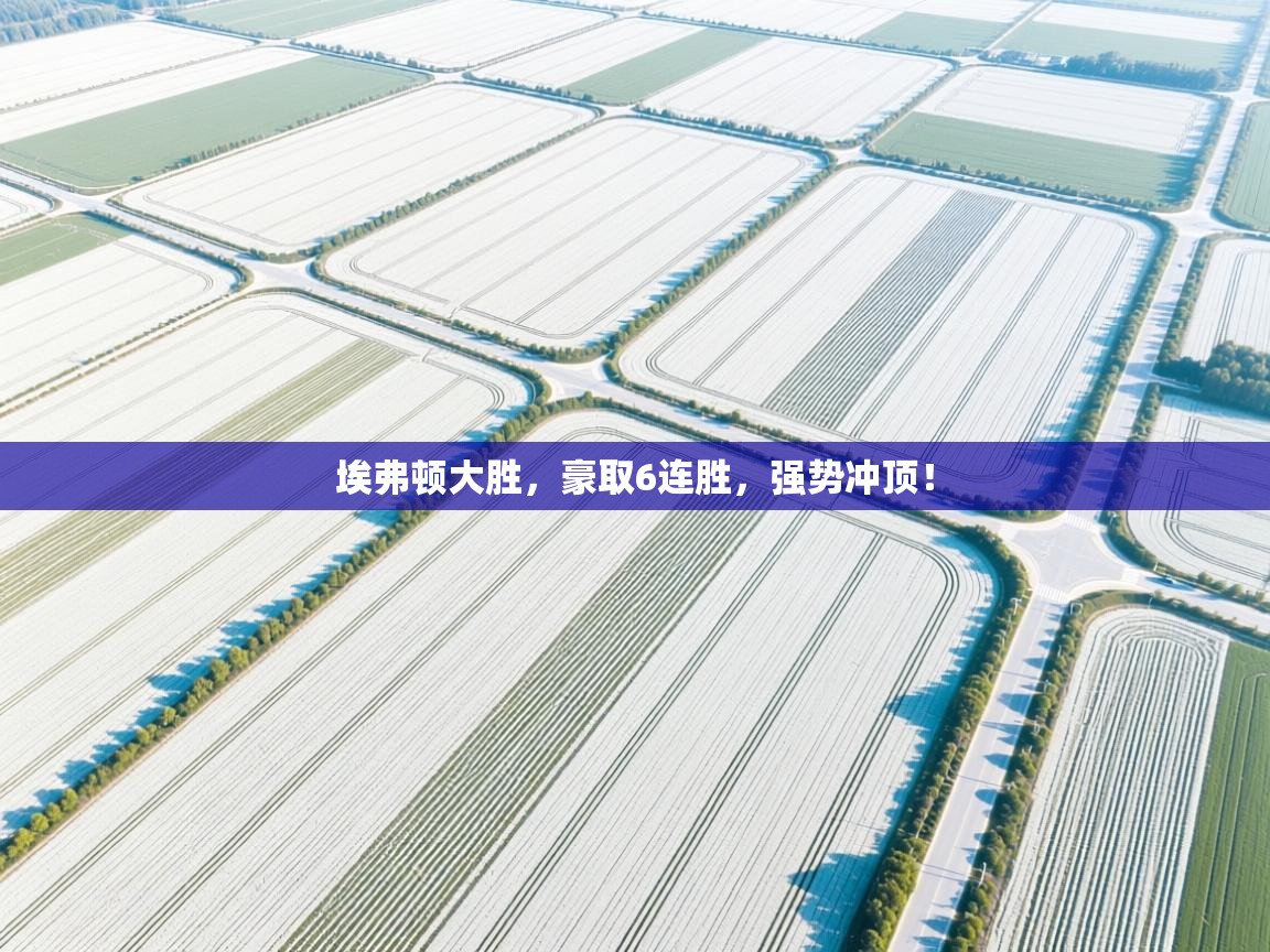 埃弗顿大胜,豪取6连胜,强势冲顶! 第2张